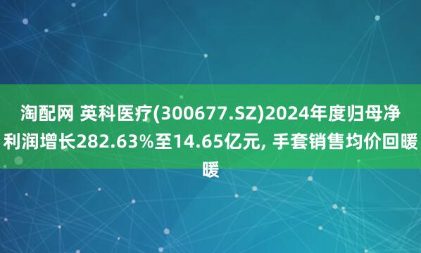 淘配网 英科医疗(300677.SZ)2024年度归母净利润增长282.63%至14.65亿元, 手套销售均价回暖