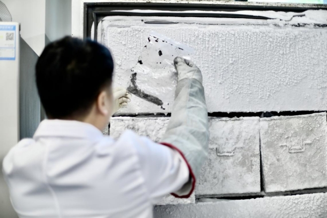 揭秘真核生物起源之谜 定位祖先分化节点