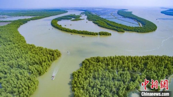 壹策略 广东省关注森林活动组委会成员单位增至14家