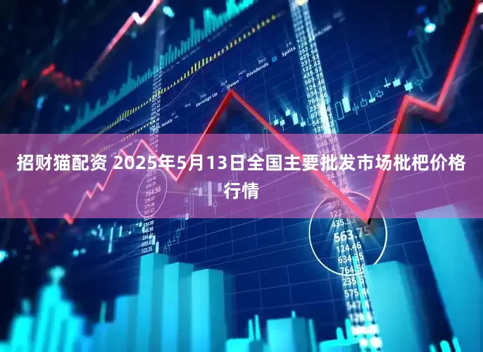 招财猫配资 2025年5月13日全国主要批发市场枇杷价格行情