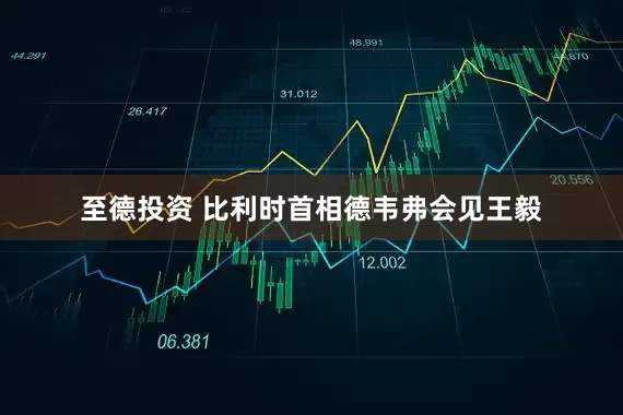 至德投资 比利时首相德韦弗会见王毅