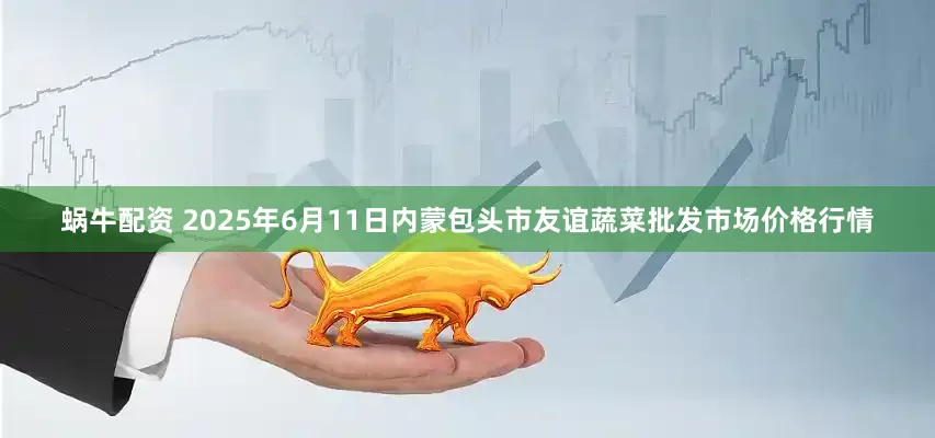 蜗牛配资 2025年6月11日内蒙包头市友谊蔬菜批发市场价格行情